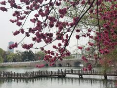 -南通濠河风景名胜区