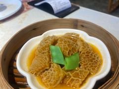 -点都德·毕德寮