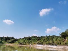 -铁山坪森林公园