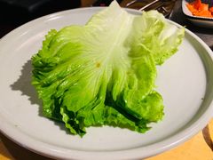 生菜-勇誌烧肉·焱铁烧