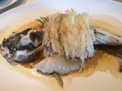 -利苑酒家(金宝店)