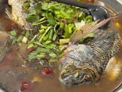 -风鑫铃罗非鱼(道沟店)