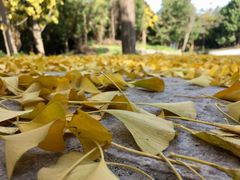 -奥林匹克森林公园南门-停车场