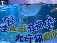 -沈阳海洋探索中心