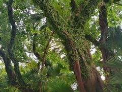 -澳门圣地牙哥古堡酒店