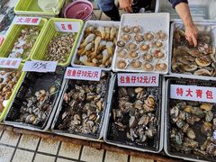 -蛇口市场