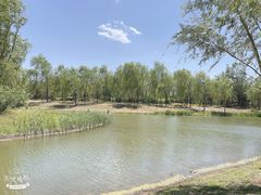-东郊湿地公园