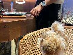 -鸟山鸣·日料食堂(王府井店)