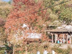 -塔川景区