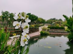 -广州莲花山旅游区