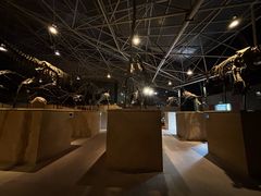 -世界恐龙谷景区