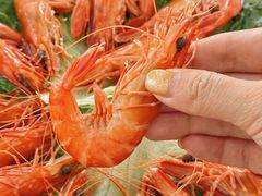 -三亚相缘海鲜排档(三亚湾店)