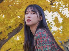 -三里屯东五街银杏大道