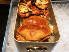 -星汇餐厅(新濠影汇店)