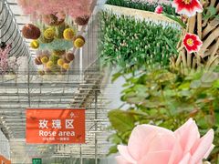 -上海鲜花港
