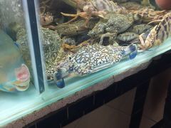 -班赞海鲜市场