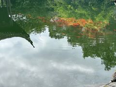 -台州府城(东湖)