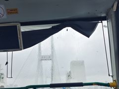 -BUS TOUR观光巴士