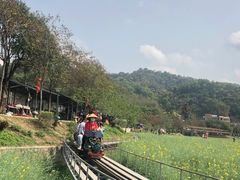 -红山村