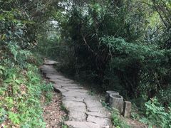-武夷山风景名胜区-虎啸岩