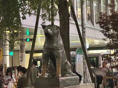 -涩谷区
