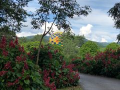 -中国科学院西双版纳热带植物园