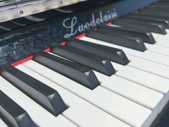 -大象音乐·吉他·架子鼓·声乐(双井店)