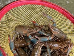 -桃源乐钓虾馆(松岗概念店)