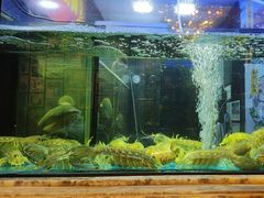 -顺轩海鲜火锅酒家