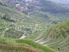 -紫鹊界梯田景区