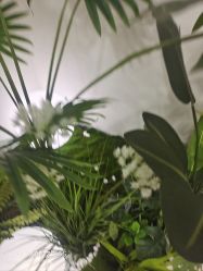 -HEYAN荷妍专业脱毛连锁机构