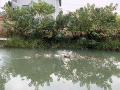 -乡乐园蟹庄·阳澄湖农家乐