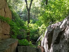 -大岭沟猕猴桃谷风景区
