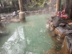 -张家港金凤凰度假村温泉