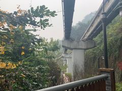 -大王油茶(二厂文创公园店)