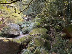 -赤水丹霞旅游区·佛光岩