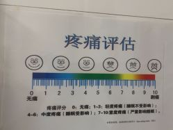 -上海市嘉定区妇幼保健院