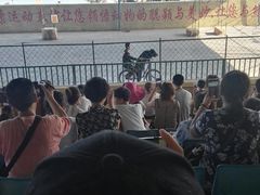 -东方熊牧场