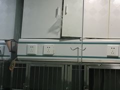-半岛宠物医院24小时(科华中路店)