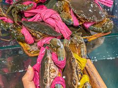 -辣螃铠盆盆蟹大排档(总店)