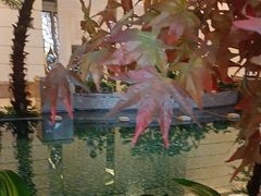 -水之梦(黄浦店)