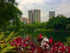 -晓港公园
