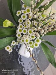 -HEYAN荷妍专业脱毛连锁机构