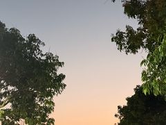 -满記土窑烧鷄波浪山莊