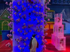 -雪山彩虹谷景区