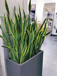 -FUTURE HN男士发型风格设计