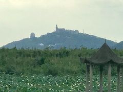 -奥特莱斯停车场