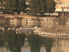 -北京小汤山医院体检中心