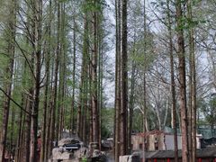 -东坡赤壁风景名胜区