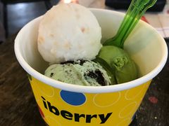 -莓园冰淇淋店